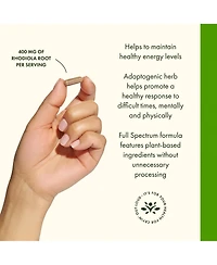 Swanson Premium Brand Rhodiola Rosea Root, Adaptogenic Herb Supplement, Balance and Stress Support, 100 Capsules