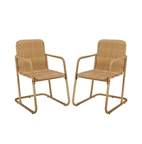 Augusta Home Drew Outdoor Dining Chair (Set of 2)