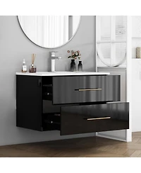 Sillysis Wall Mounted Bathroom Vanity with Ceramic Sink, Double Drawers