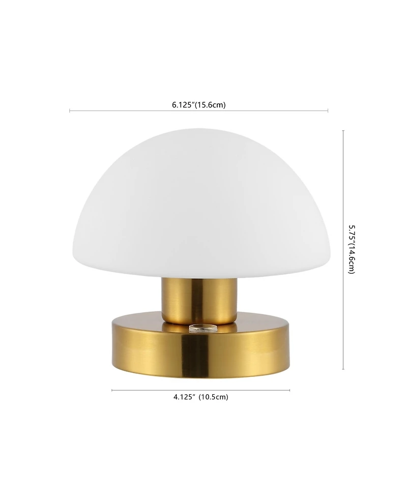 Zoe Bohemian Farmhouse Iron Rechargeable Integrated Led Table Lamp