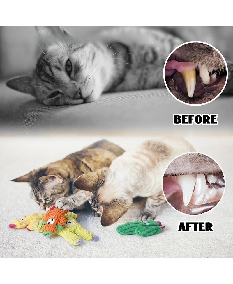 Aronkl 5 Pack Cat Toys Interactive Plush 100% Catnip Safe Durable For Indoor Cats Kittens Teething Play