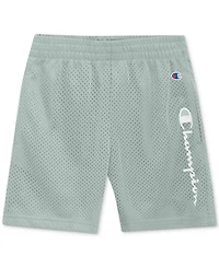 Champion Boys' 4-7 Graphic T-Shirt and Shorts, 2-Piece Set