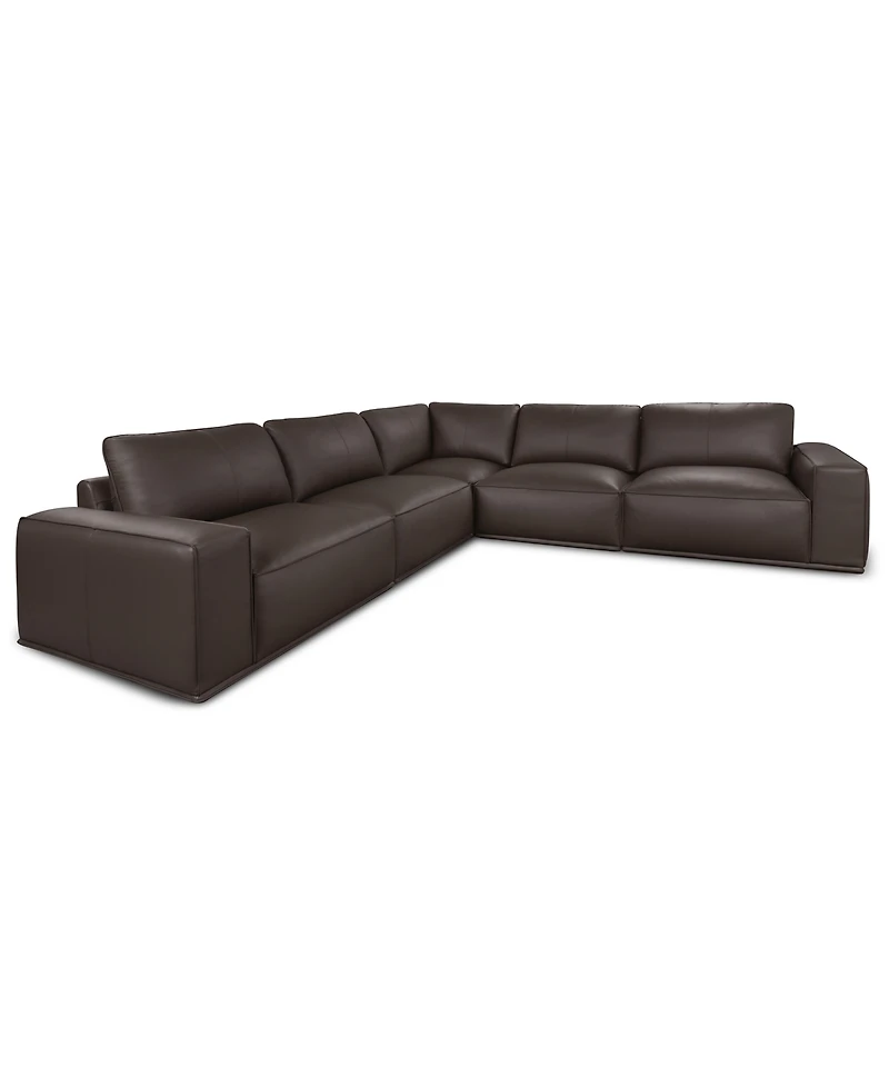 Paitlyn 5-Piece Leather L-Shape Sectional