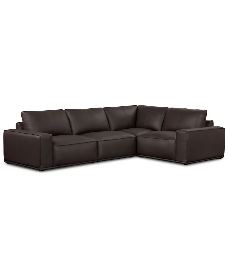 Paitlyn 4-Piece Leather Sectional