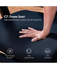 FlexiSpot Ergonomic Chair C7-Foam Seat (No Footrest
