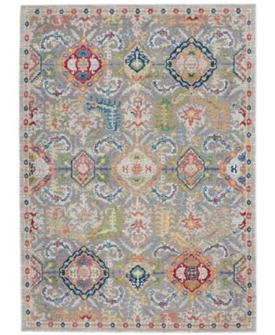 Nourison Home Ankara Global Anr12 Gray Multi Rug