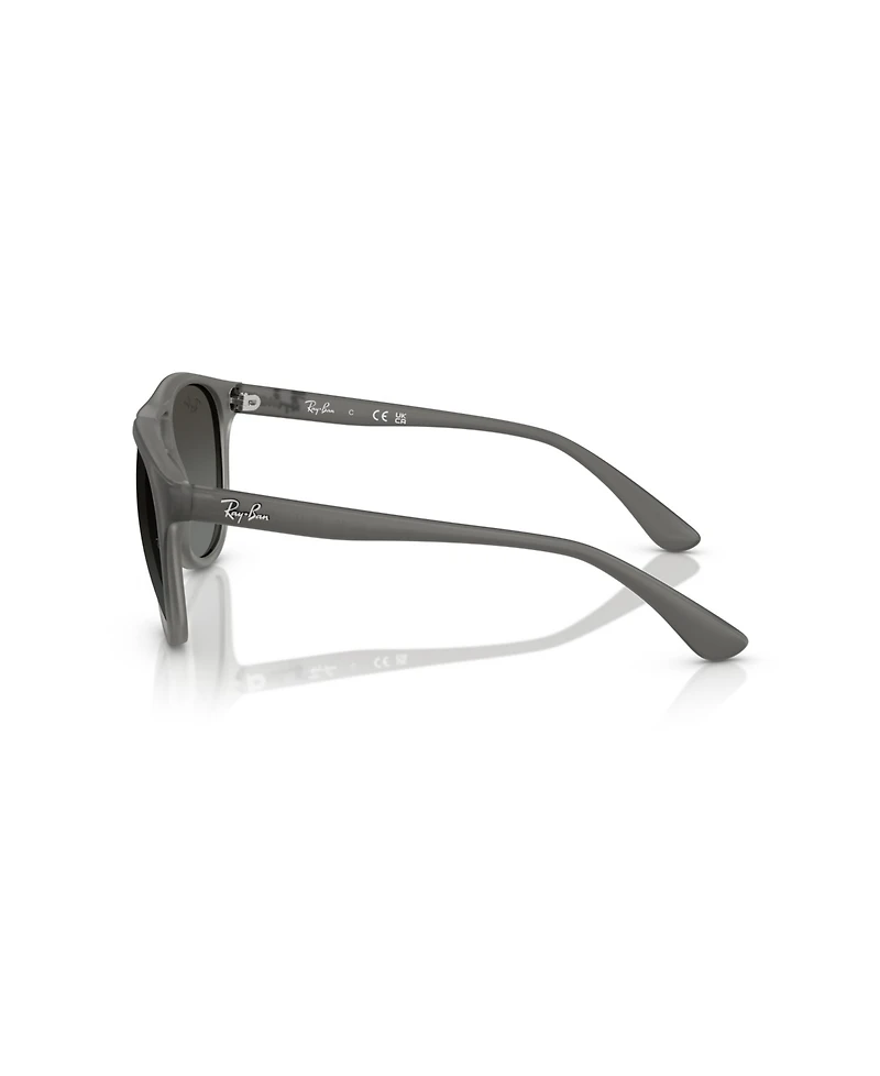Ray-Ban Men's Gradient Lenses Sunglasses, Brad RB4170