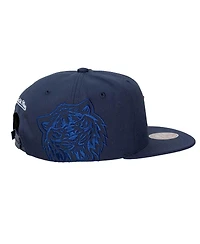 Mitchell & Ness Men's and Women's Navy Detroit Tigers Side Logo Snapback Hat