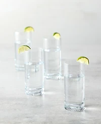 Zwiesel Glas Echo Longdrink Glasses, Set of 4