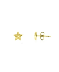 The Lovery Fluted Puffy Star Stud Earrings 14K Yellow Gold