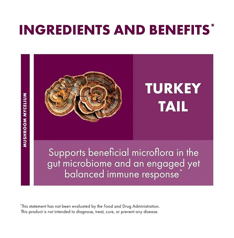 Host Defense Turkey Tail Extract - Digestive Health & Immune Response Support Supplement