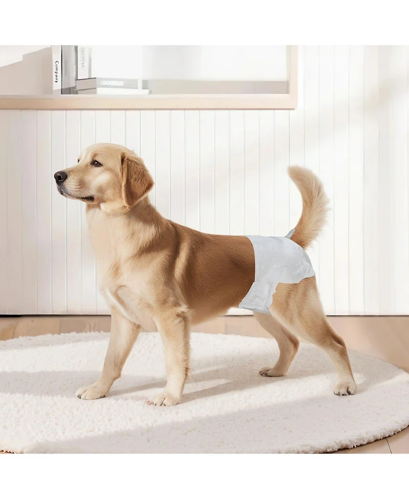 Cozito Disposable Female Dog Diapers, M Size 144 Count with Wetness Indicator