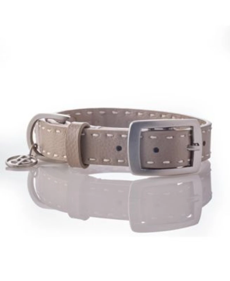 Pet Passion Rein The Saddle Stitch Faux Leather Collar