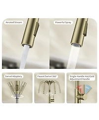 Phying Kitchen Faucet with Pull Down Sprayer