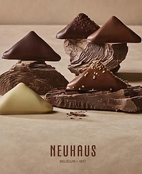 Neuhaus Father's Day All Dark Ballotin Chocolates, 19-Piece