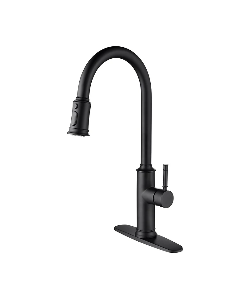 Phying Kitchen Faucet with Pull Out Spraye