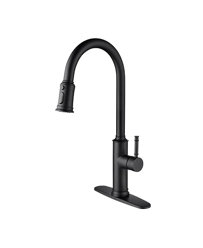 Phying Kitchen Faucet with Pull Out Spraye