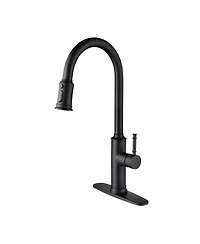 Phying Kitchen Faucet with Pull Out Spraye