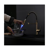 Phying Commercial Led Kitchen Faucet with Pull Down Sprayer, Single Handle Single Lever Kitchen Sink Faucet