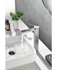 Midola Single Handle Bathroom Sink Faucet, Bathroom Sink Vanity Faucet with Water Supply Hose for Bathroom