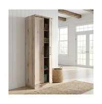 Starlight Canyon Home Brown Storage Cabinet With Sleek Rectangle Shape For Organization