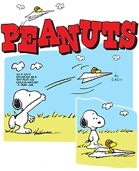 Hybrid Apparel Men's Peanuts Artwork Long-Sleeve T-Shirt