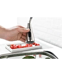 Phying Single Handle Kitchen Sink Faucet with Pull Out Sprayer