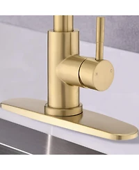 Phying Pull Down Kitchen Faucet with Sprayer Stainless Steel Brushed Gold
