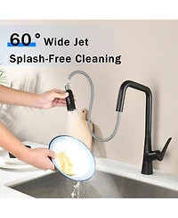 Phying Professional Kitchen Faucet 3 Function 360 Sprayer One Touch Switching FastConnect