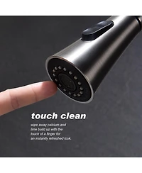 Phying Kitchen Faucet with Pull Out Spraye