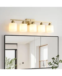 Midola 5-Light Modern Bathroom Vanity Light Fixture with Frosted Glass Shades for Wall Mount Over Mirror