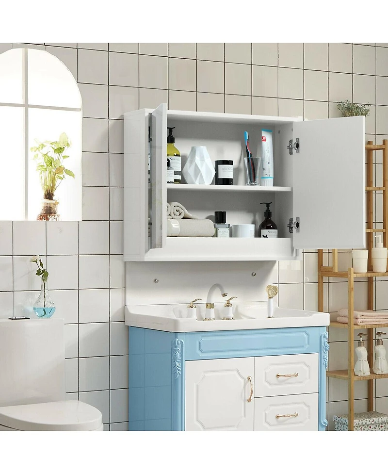 Volenca 2-Door Wall-Mounted Mirrored Medicine Cabinet, 22-in W