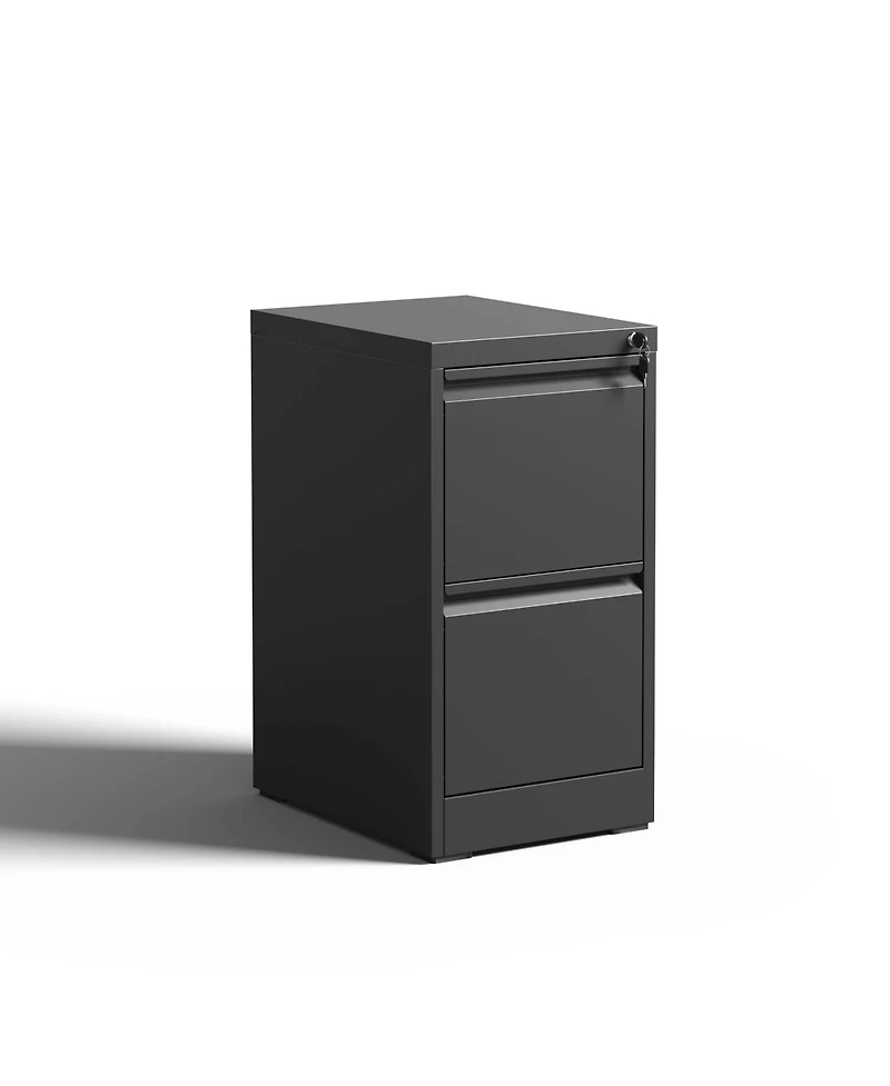 Boyel Living 2 Drawer Metal Vertical File Cabinet with Lock Office Home Steel Vertical File Cabinet for A4 Legal/Letter Size