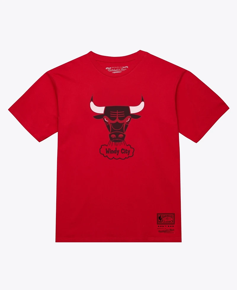 Mitchell & Ness Men's and Women's Red Chicago Bulls Hardwood Classics Arch T-Shirt