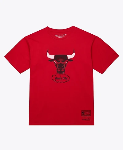 Mitchell & Ness Men's and Women's Red Chicago Bulls Hardwood Classics Arch T-Shirt