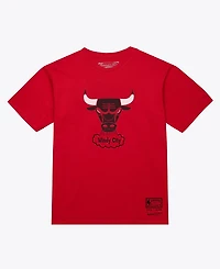 Mitchell & Ness Men's and Women's Red Chicago Bulls Hardwood Classics Arch T-Shirt