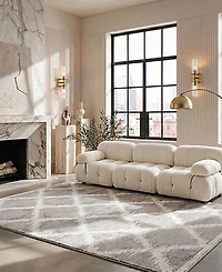 Safavieh Adirondack 120 Silver and Ivory 5'1" x 7'6" Area Rug