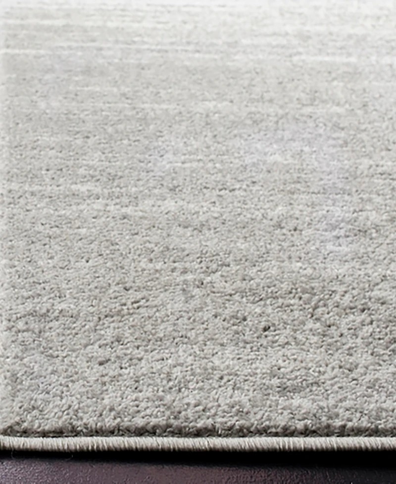 Safavieh Adirondack Light Gray and Gray 8' x 10' Area Rug