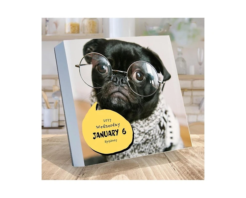 Tf Publishing Paper Goods 2027 Dog A Day Daily Desktop Calendar