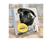 Tf Publishing Paper Goods 2027 Dog A Day Daily Desktop Calendar