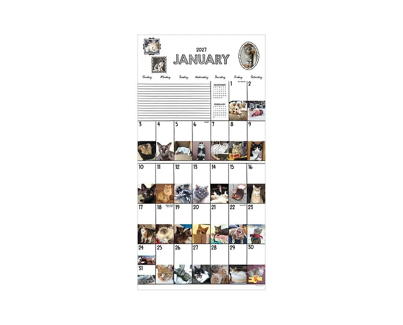 Tf Publishing Paper Goods 2027 Cat-a-Day Wall Calendar
