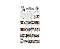 Tf Publishing Paper Goods 2027 Cat-a-Day Wall Calendar