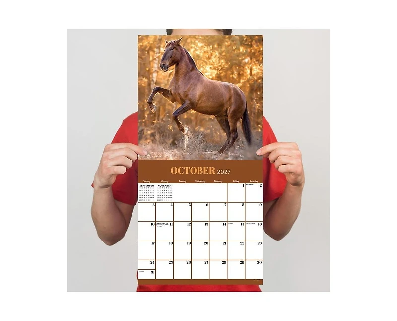 Tf Publishing Paper Goods 2027 Horses Wall Calendar