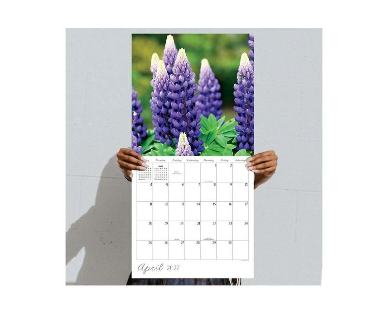 Tf Publishing Paper Goods 2027 Flowers Wall Calendar