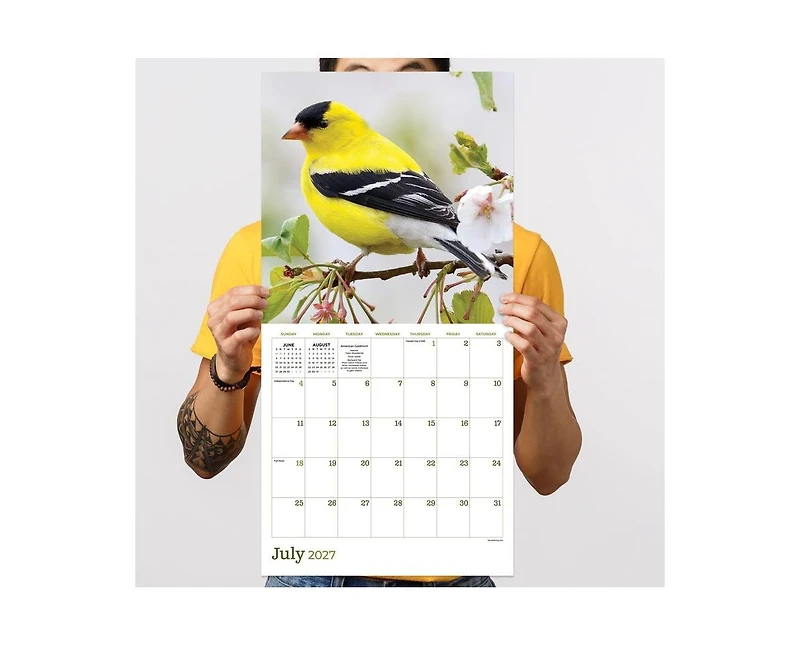 Tf Publishing Paper Goods 2027 Backyard Birds Wall Calendar