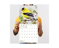 Tf Publishing Paper Goods 2027 Backyard Birds Wall Calendar