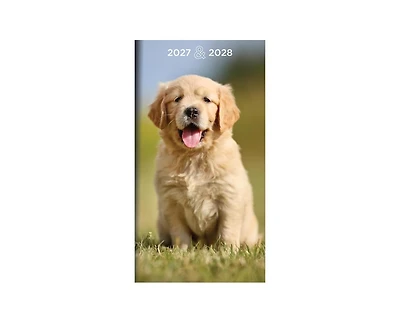Tf Publishing Paper Goods 2027-2028 Dog Small Monthly Pocket Planner