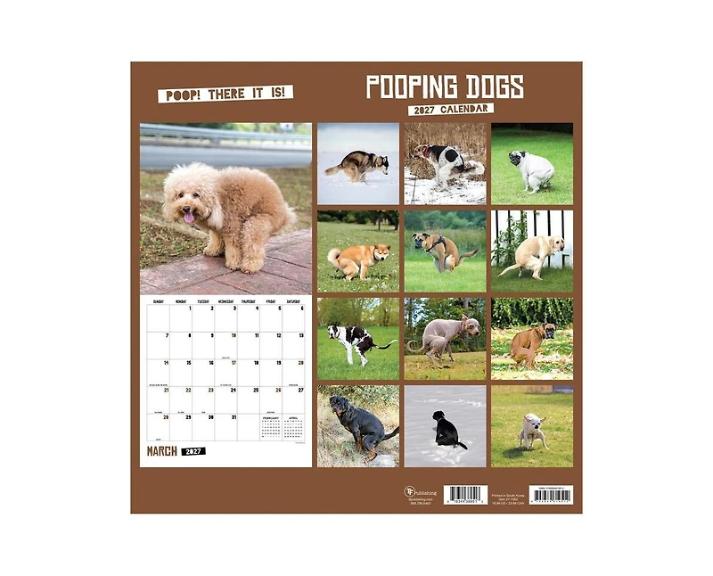Tf Publishing Paper Goods 2027 Pooping Dogs Wall Calendar