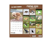 Tf Publishing Paper Goods 2027 Pooping Dogs Wall Calendar