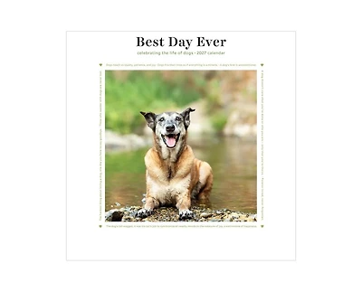 Tf Publishing Paper Goods 2027 Best Day Ever Dogs Mini Calendar